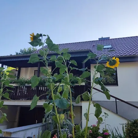 Villa Waldhus Ückeritz Zimmer foto