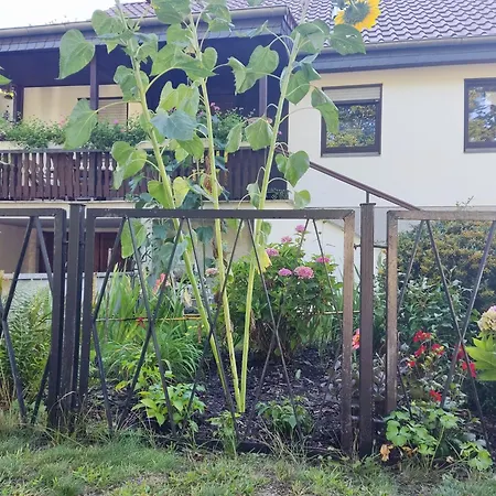 Villa Waldhus Ückeritz Zimmer foto