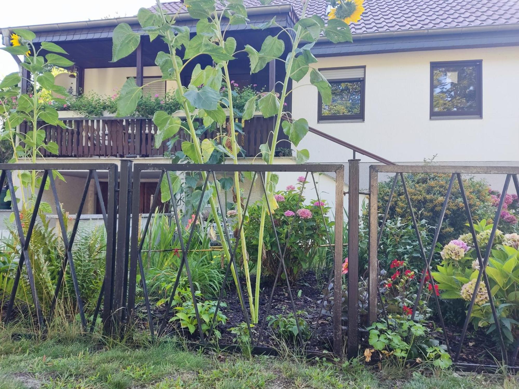 Waldhus * Ückeritz
